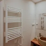 Refugio Do Paixao * 塞辛布拉